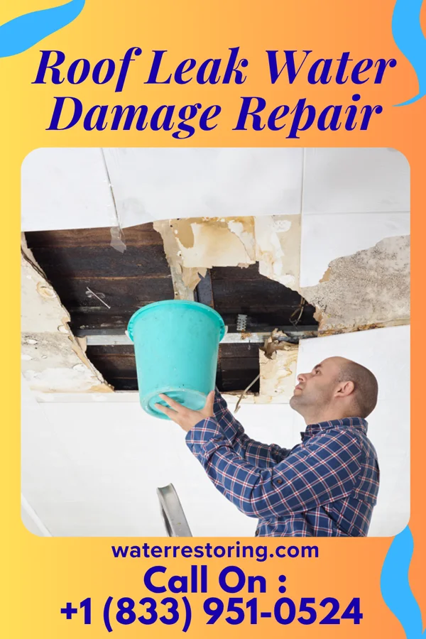 Roof Leak Water Damage Repair in Tampico, IL
